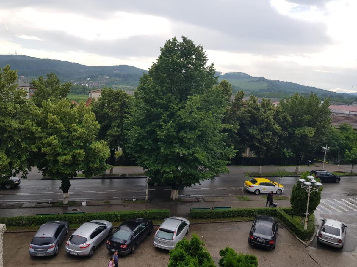 Apartament Posada Curtea de Argeş Dış mekan fotoğraf